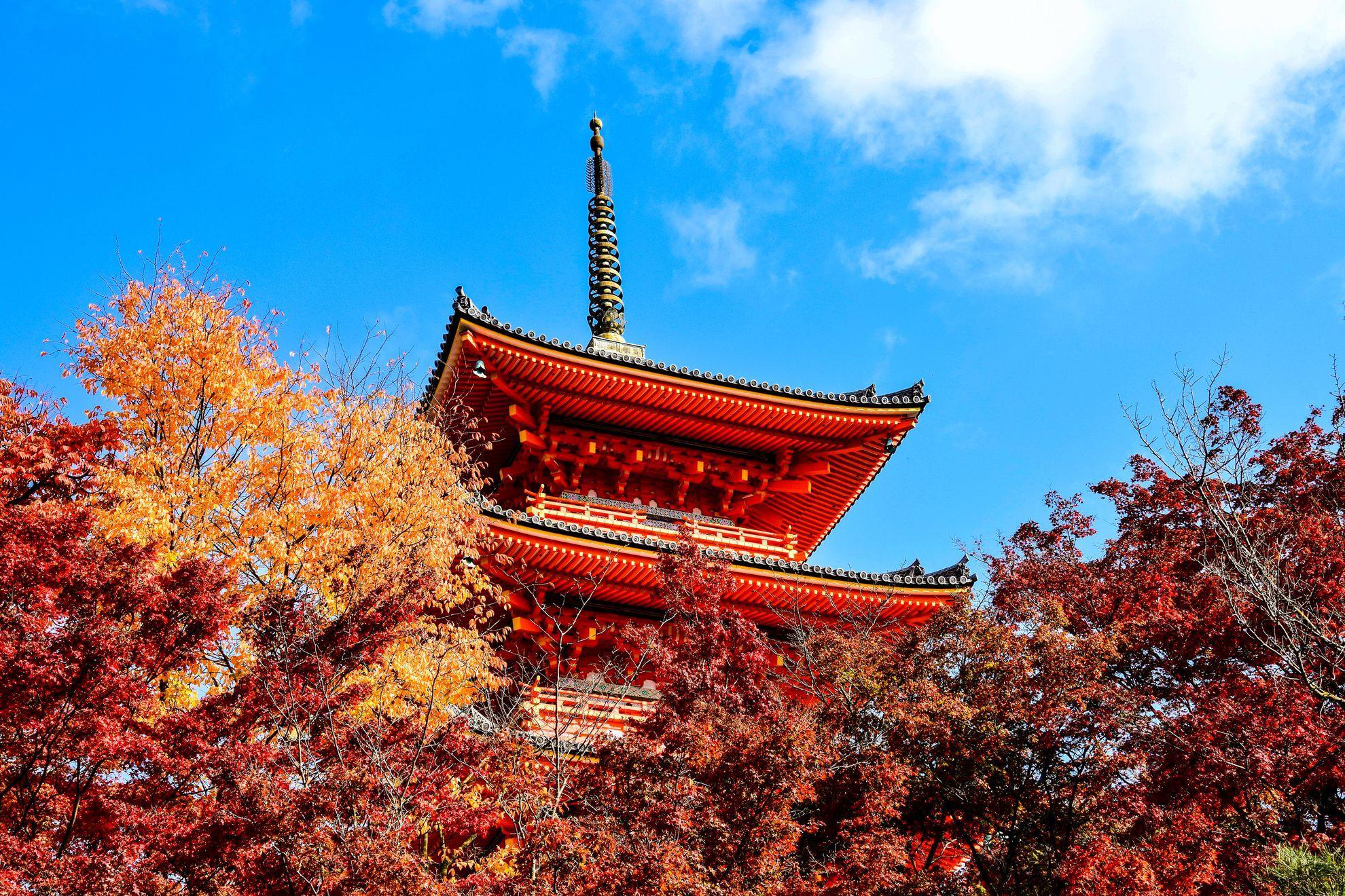 京都のホテルや旅館、町家など宿泊施設をまとめて比較検索